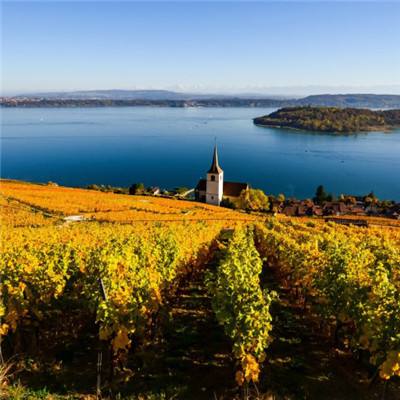 pg麻将胡了下载手机app下载