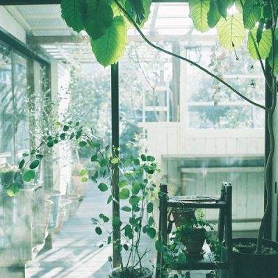 PG电子游戏下载