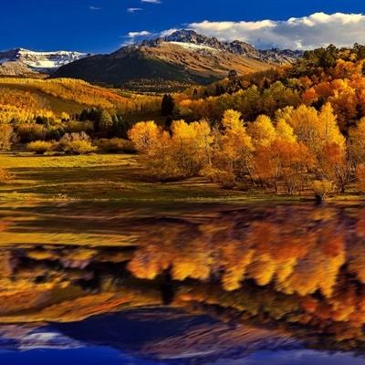 万博manbet登录手机版