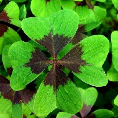 金年会app下载入口