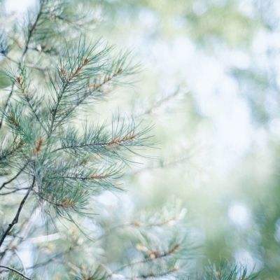 开运全站下载截图