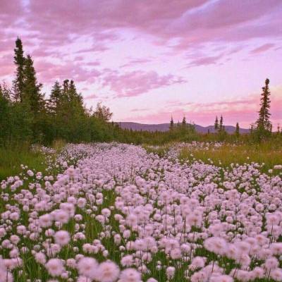 万博ManBetX手机版登录官网