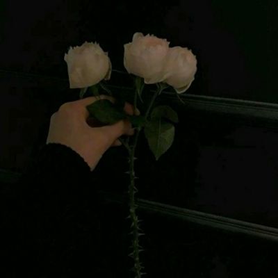 半岛网页版app下载